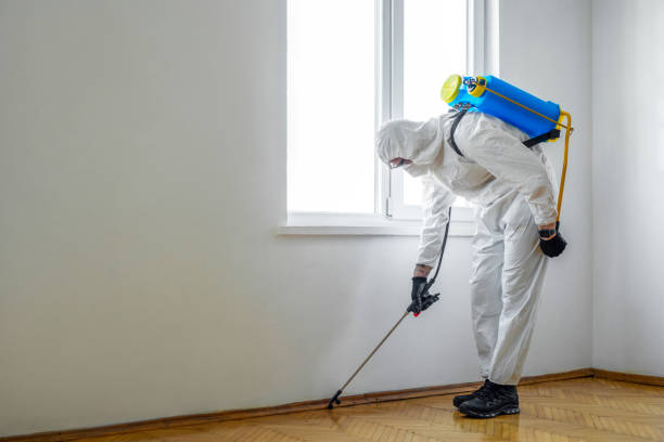 Wildlife Control Services in Selbyville, DE
