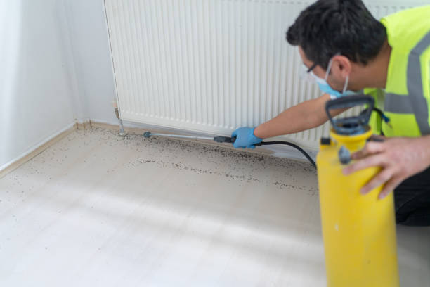 Best Mosquito Control Services  in Selbyville, DE